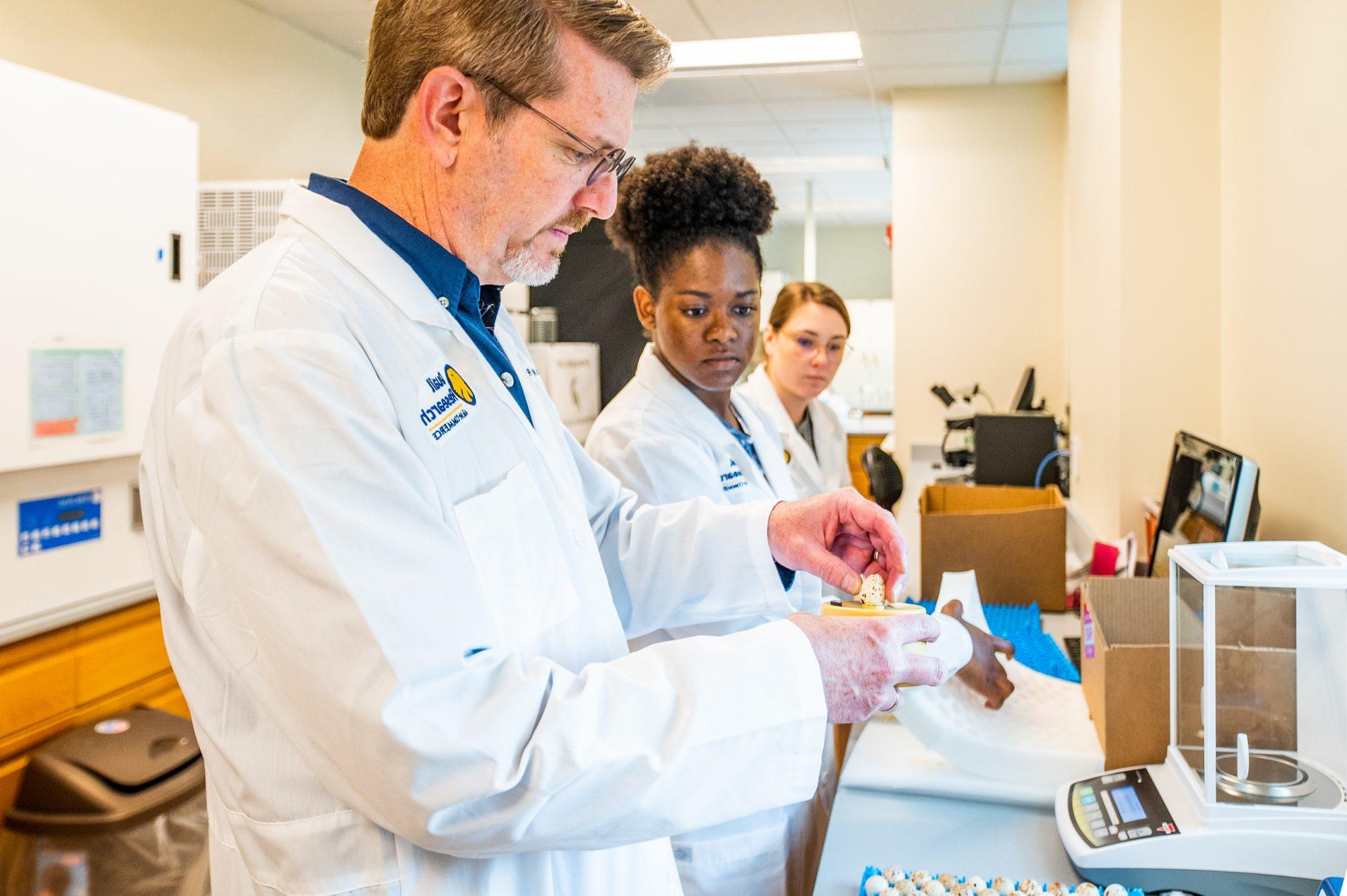 Two students watch as a professor examines a quail egg.